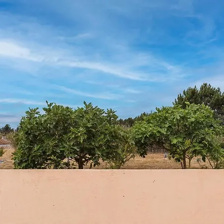بيت للعطل Casa Do Avo Ze - Silveira - *