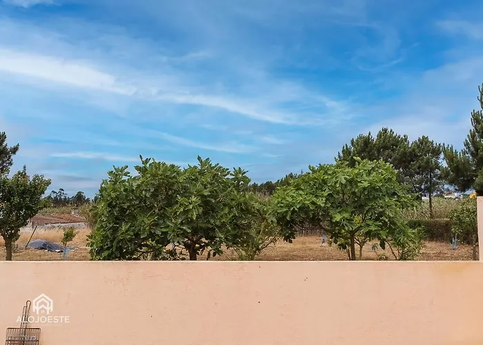Σπίτι διακοπών Casa Do Avo Ze - Silveira - *